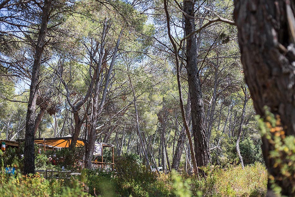 Séjour au Camping U Paradisu